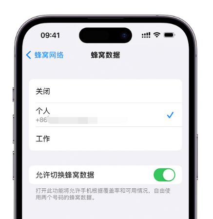 大庆苹果维修服务分享如何在iPhone上使用双卡 